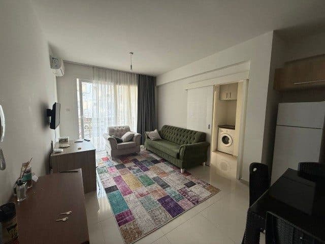 Yeşil koltuklar, renkli halı ve mutfağa açılan salon