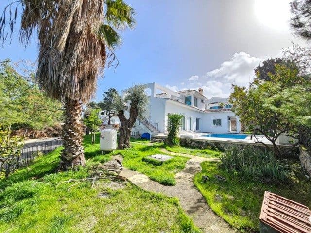 White villa surrounded by palm trees and a stone path