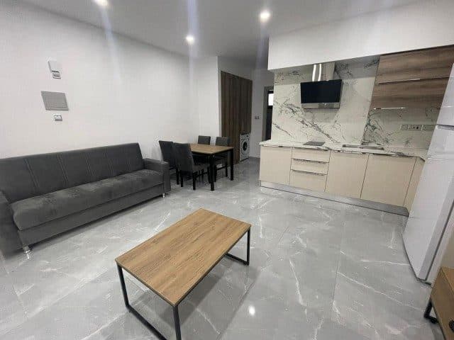 Koltuk ve yemek masası yanında görünen çamaşır makinesi