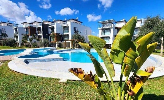 Kavisli havuzun çevresinde çim alan ve apartman blokları