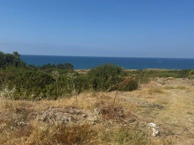 Kuru otlarla kaplı araziden deniz ve ufuk çizgisi görünüyor