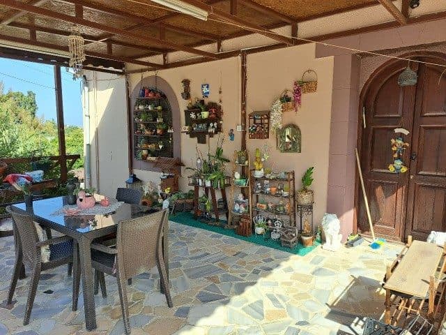 Taş döşeli terasta bitkiler, masa ve hasır sandalyeler