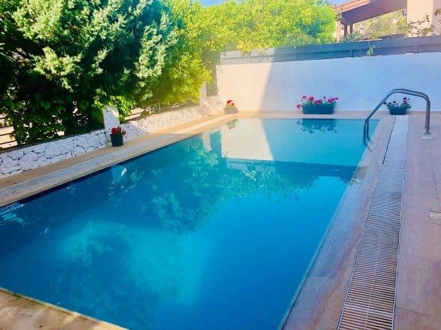 Rectangular pool, stone paving, and surrounding potted plants