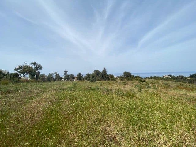 Önde otlarla kaplı arsa, arka planda ağaçlar ve deniz
