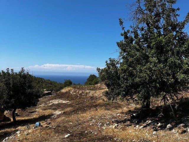 Kayalık ve ağaçlı eğimli araziden deniz görünüyor
