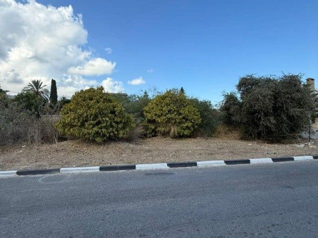 Yol kenarında çalılık ve ağaçlarla çevrili arsa