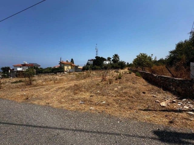 Kuru otlarla kaplı arsa, taş duvar ve yol kenarından görülüyor.