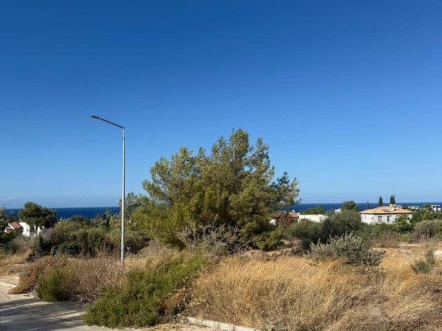 Ağaç ve kuru otlarla kaplı arsanın arkasında deniz görünüyor