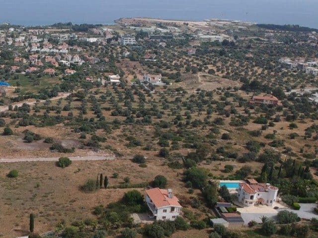 Ağaçlı arazi ve yerleşim üzerinden denize bakış