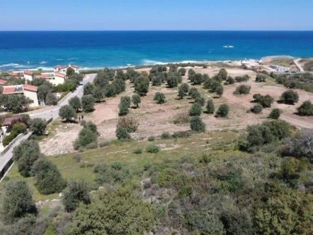 Ağaçlı arsanın arkasında deniz ve kıyı yerleşimleri görünüyor