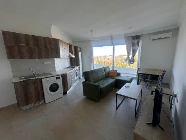 Yeşil koltuklu salon, ahşap mutfak dolapları ve çamaşır makinesi
