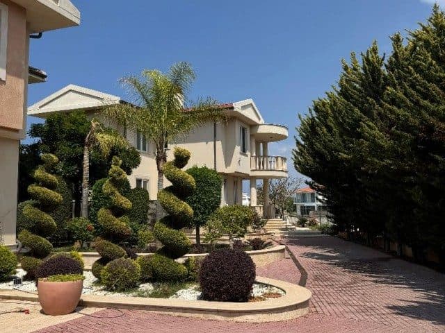 Kıvrımlı çalılar ve palmiye ağaçları önündeki villa