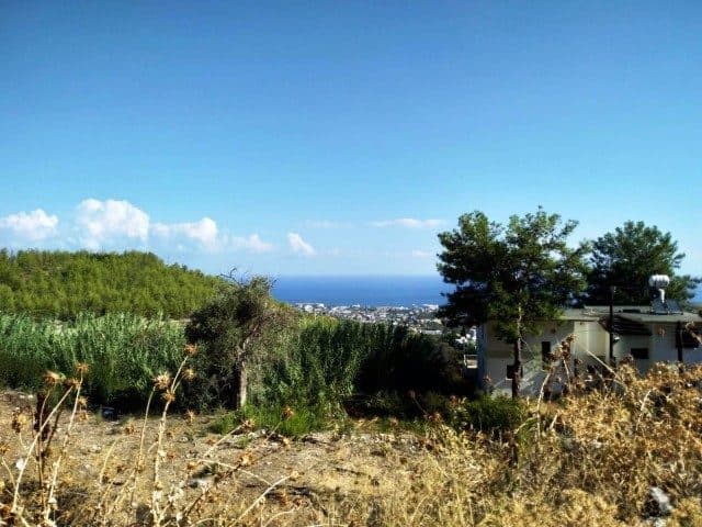 Otlar ve ağaçların arasından deniz ve yerleşim görünüyor