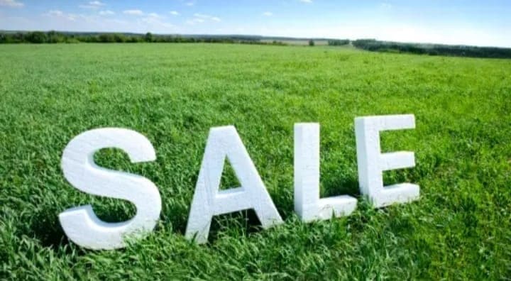 Yeşil çimlerin üzerinde beyaz SALE harfleri