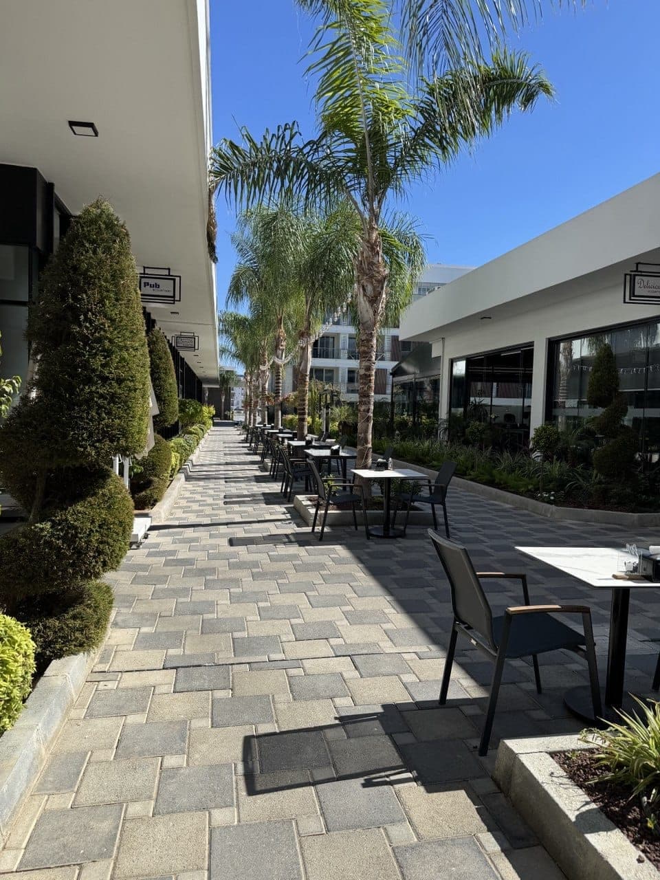 Outdoor walkway and seating areas adorned with palm trees and plants.