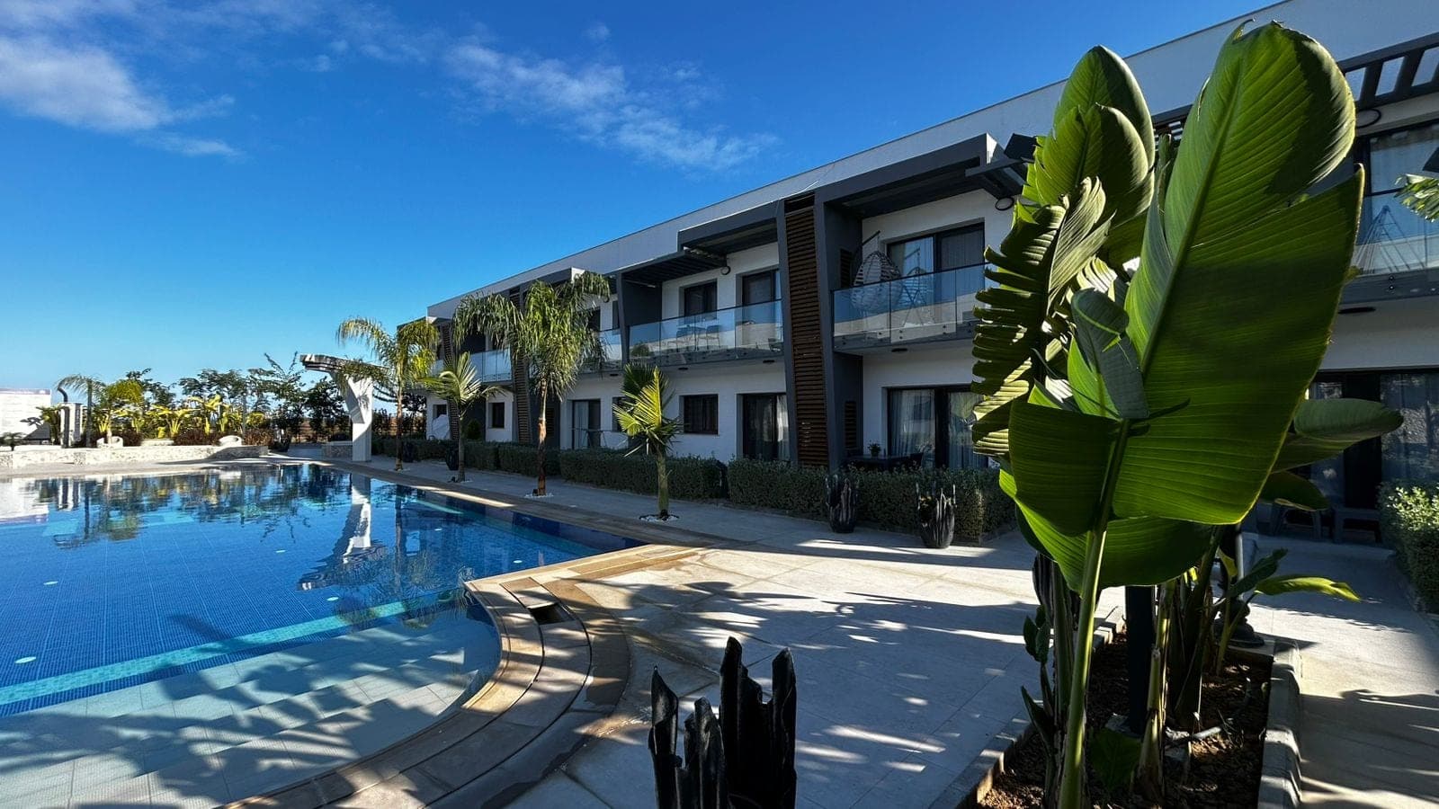 Modern building with palm trees and a large pool in front.
