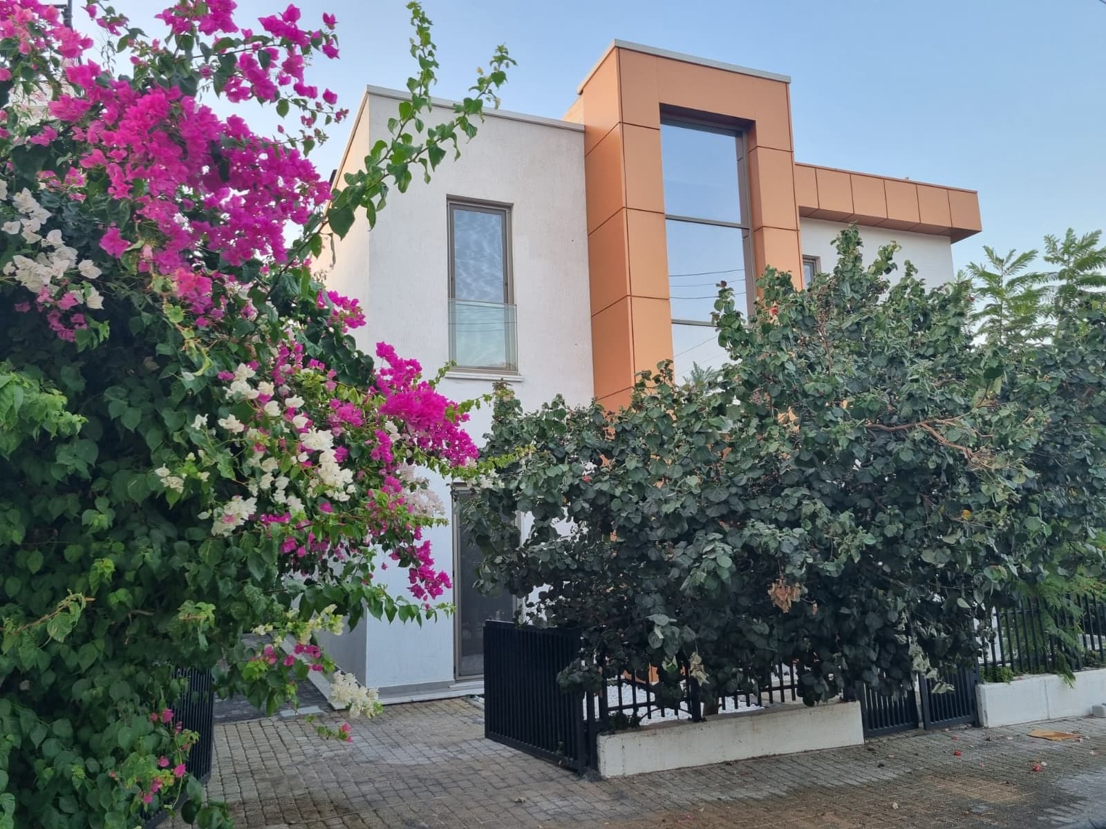 Modern mimariye sahip villa dış cephesi ve renkli begonviller