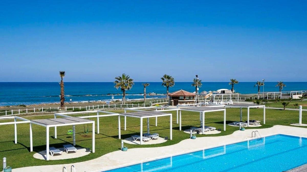 Seaside with palm trees, swimming pool and sunbathing areas.