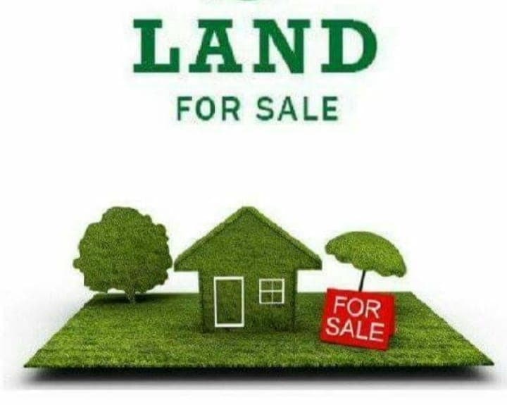 Green-themed graphic visual for land for sale listing.
